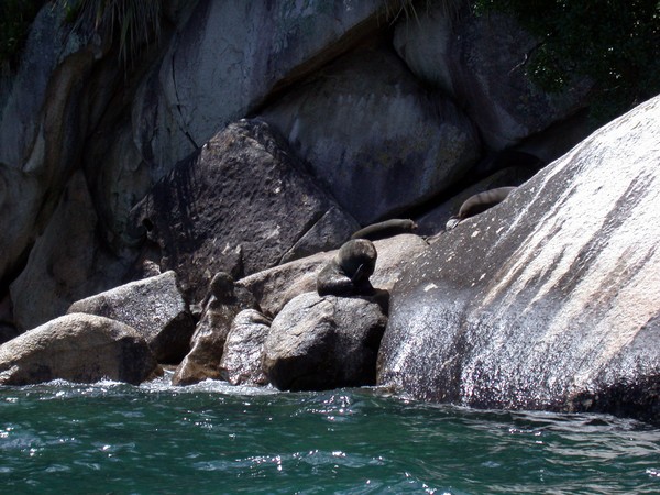 Seals